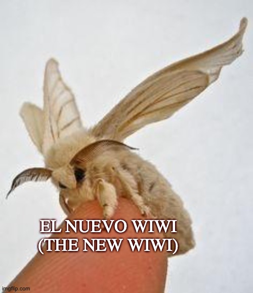 :3 | EL NUEVO WIWI (THE NEW WIWI) | image tagged in el wiwi,moth,so cute,i added an english translation at the bottom,that way im not breaking any rules | made w/ Imgflip meme maker