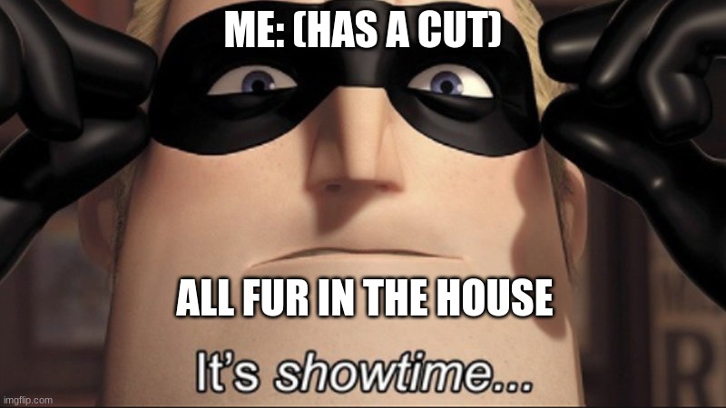 It's showtime | ME: (HAS A CUT); ALL FUR IN THE HOUSE | image tagged in it's showtime | made w/ Imgflip meme maker