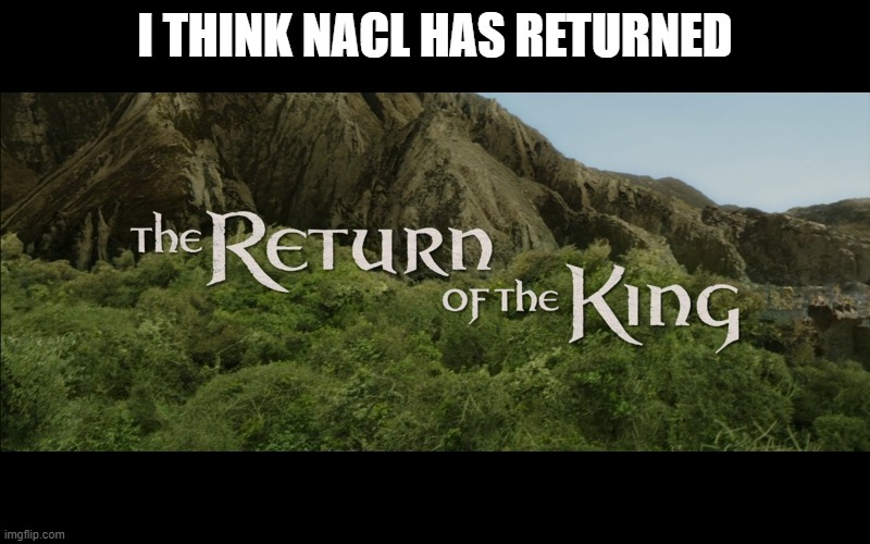 Someone said he is him, lets see if its true | I THINK NACL HAS RETURNED | image tagged in return of the king,nacl | made w/ Imgflip meme maker