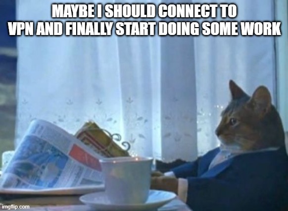 Cat Connect to VPN | MAYBE I SHOULD CONNECT TO VPN AND FINALLY START DOING SOME WORK | image tagged in memes,i should buy a boat cat,vpn,work from home | made w/ Imgflip meme maker