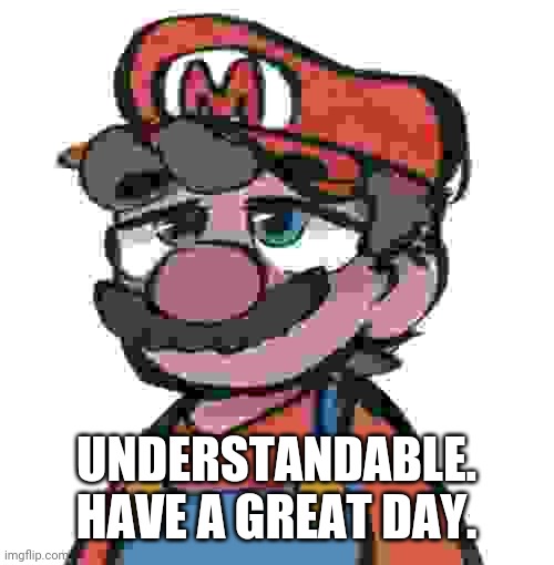 UNDERSTANDABLE. HAVE A GREAT DAY. | made w/ Imgflip meme maker