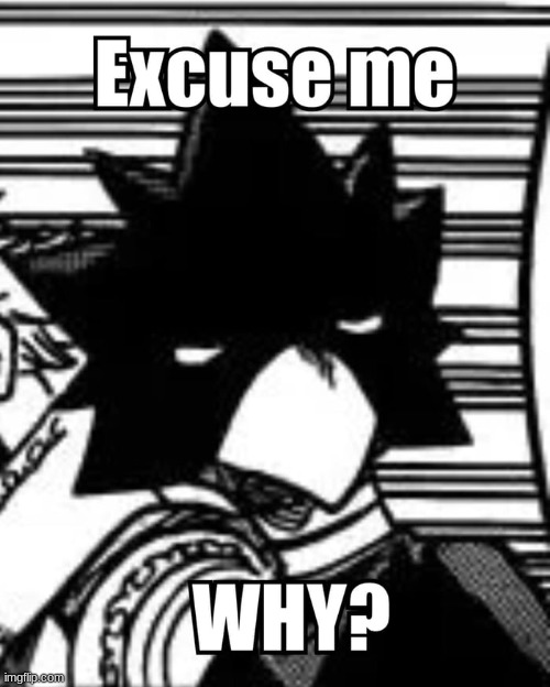 excuse me why? tokoyami | image tagged in excuse me why tokoyami | made w/ Imgflip meme maker