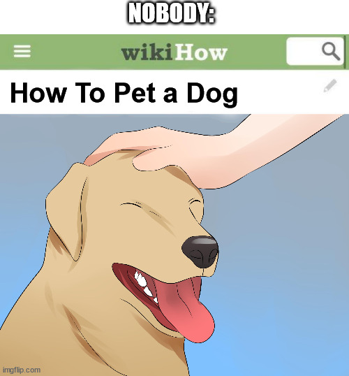wikiHow articles be like | NOBODY:; How To Pet a Dog | image tagged in wikihow,memes,bad meme,dogs | made w/ Imgflip meme maker