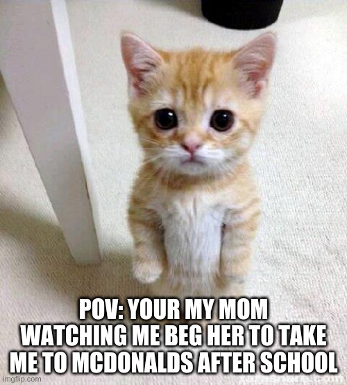 I never did have Mcdonald's money... until now! | POV: YOUR MY MOM WATCHING ME BEG HER TO TAKE ME TO MCDONALDS AFTER SCHOOL | image tagged in memes,cute cat | made w/ Imgflip meme maker
