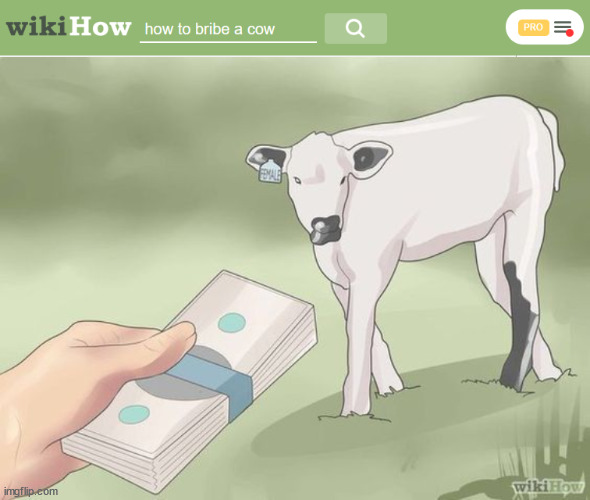 wikiHow articles be like: | image tagged in excuse me what the heck,evil cows,memes,funny animals,wikihow | made w/ Imgflip meme maker