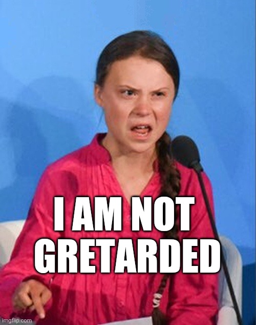 Greta Thunberg how dare you | I AM NOT 
GRETARDED | image tagged in greta thunberg how dare you | made w/ Imgflip meme maker