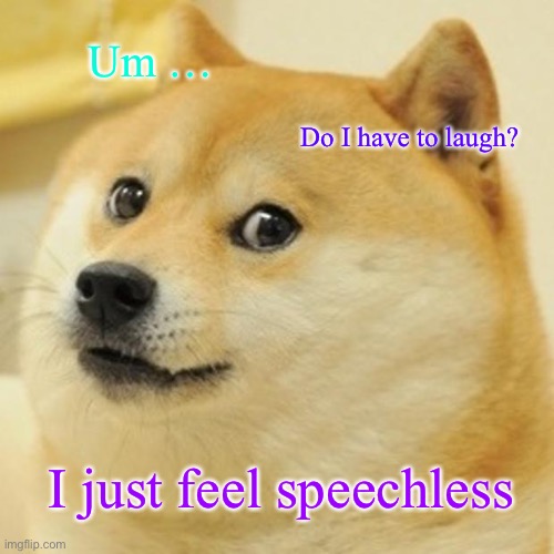 Doge Meme | Um …; Do I have to laugh? I just feel speechless | image tagged in memes,doge | made w/ Imgflip meme maker