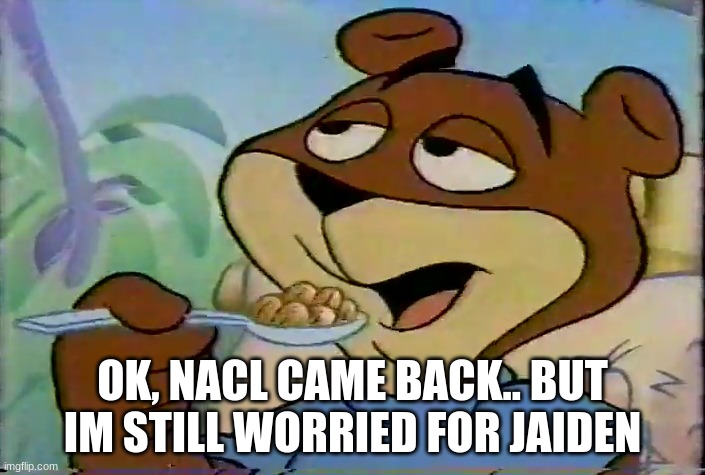 Sugar Bear | OK, NACL CAME BACK.. BUT IM STILL WORRIED FOR JAIDEN | image tagged in sugar bear | made w/ Imgflip meme maker