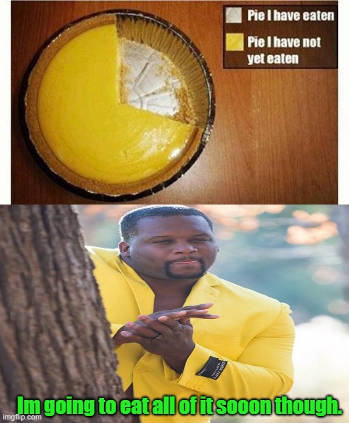 Yum. What type of pie is this? I would love to try. | Im going to eat all of it sooon though. | image tagged in pie,yum | made w/ Imgflip meme maker