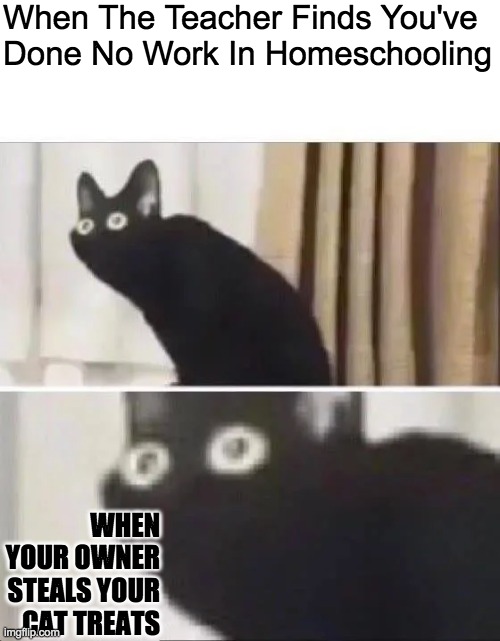 Oh No Black Cat | When The Teacher Finds You've Done No Work In Homeschooling; WHEN YOUR OWNER STEALS YOUR CAT TREATS | image tagged in oh no black cat,funny,funny cats | made w/ Imgflip meme maker