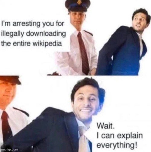 Yes you can | image tagged in repost,wikipedia | made w/ Imgflip meme maker