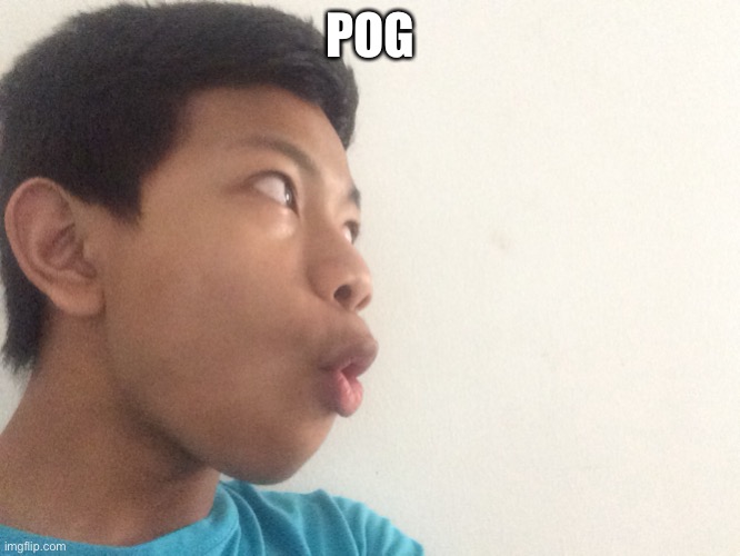 POG | image tagged in akifhaziq pog | made w/ Imgflip meme maker