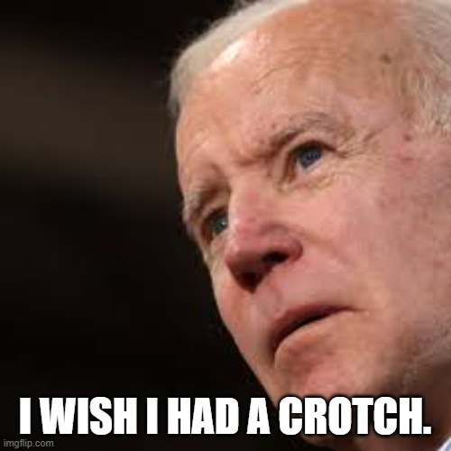 Sad Biden | I WISH I HAD A CROTCH. | image tagged in sad biden | made w/ Imgflip meme maker