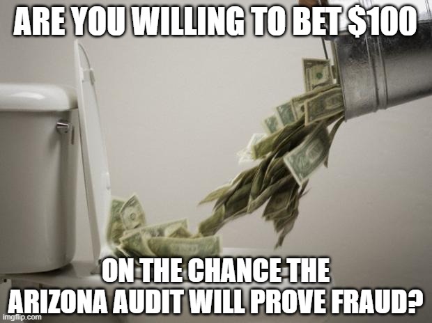 I bet against it myself | ARE YOU WILLING TO BET $100; ON THE CHANCE THE ARIZONA AUDIT WILL PROVE FRAUD? | image tagged in money down toilet,votes,arizona,audit | made w/ Imgflip meme maker