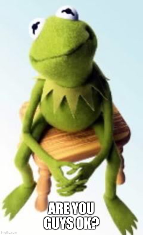 Concerned Kermit | ARE YOU GUYS OK? | image tagged in concerned kermit | made w/ Imgflip meme maker