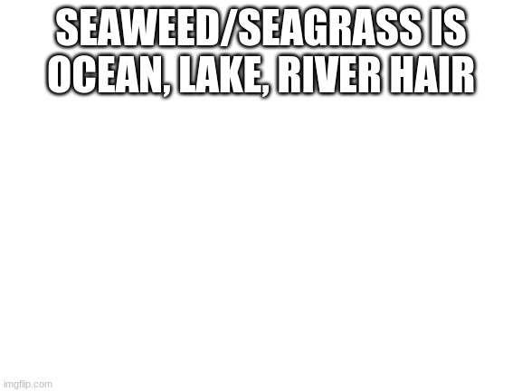 Blank White Template |  SEAWEED/SEAGRASS IS OCEAN, LAKE, RIVER HAIR | image tagged in blank white template | made w/ Imgflip meme maker