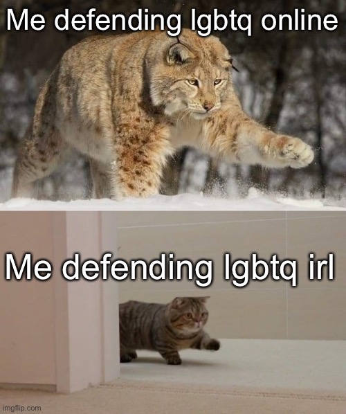 Big and smol cat | Me defending lgbtq online; Me defending lgbtq irl | image tagged in big and smol cat | made w/ Imgflip meme maker