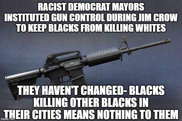 AR-15 | RACIST DEMOCRAT MAYORS INSTITUTED GUN CONTROL DURING JIM CROW TO KEEP BLACKS FROM KILLING WHITES; THEY HAVEN'T CHANGED- BLACKS KILLING OTHER BLACKS IN THEIR CITIES MEANS NOTHING TO THEM | image tagged in ar-15 | made w/ Imgflip meme maker