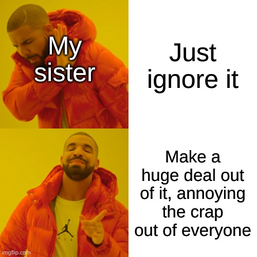WHy do they do this | Just ignore it; My sister; Make a huge deal out of it, annoying the crap out of everyone | image tagged in memes,drake hotline bling | made w/ Imgflip meme maker