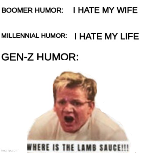 where lamb sauce | image tagged in memes,funny,not really a gif,boomer humor millennial humor gen-z humor,chef gordon ramsay,where is the lamb sauce | made w/ Imgflip meme maker