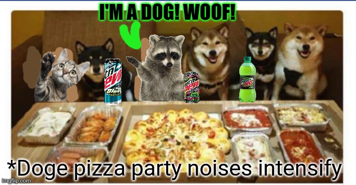 Plotting raccoon crashes the doge party! | I'M A DOG! WOOF! *Doge pizza party noises intensify | image tagged in evil plotting raccoon,party time,hungry pizza dog,mountain dew,cute dog,raccoon | made w/ Imgflip meme maker