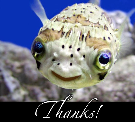 Thanks! | made w/ Imgflip meme maker