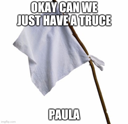 Cmon | OKAY CAN WE JUST HAVE A TRUCE; PAULA | image tagged in white flag | made w/ Imgflip meme maker