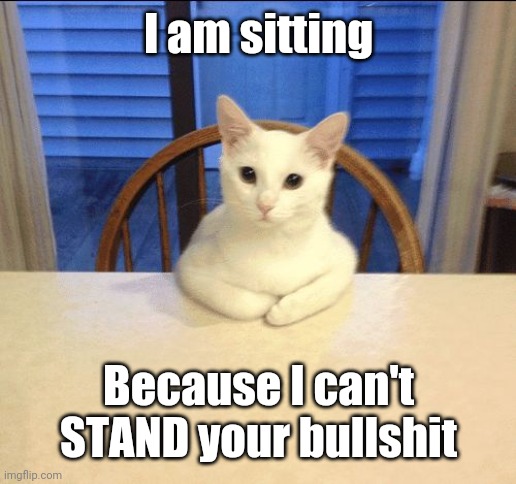 sit down human | I am sitting; Because I can't STAND your bullshit | image tagged in sit down human | made w/ Imgflip meme maker