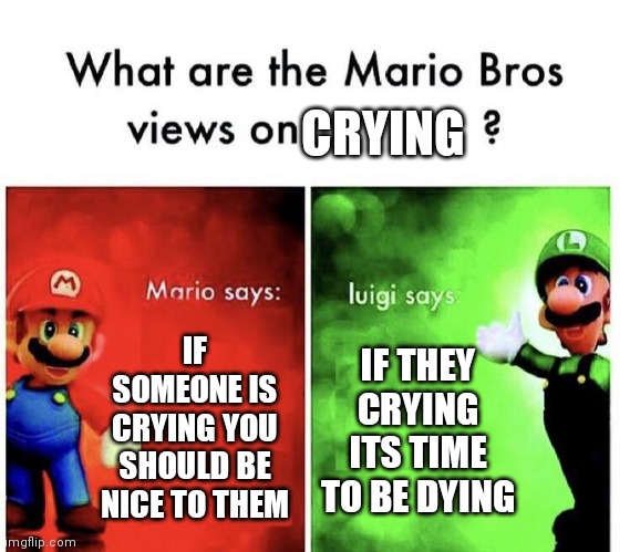 Mario Bros Views | CRYING; IF SOMEONE IS CRYING YOU SHOULD BE NICE TO THEM; IF THEY CRYING ITS TIME TO BE DYING | image tagged in mario bros views | made w/ Imgflip meme maker