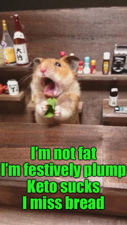 I’m not fat
I’m festively plump

Keto sucks
I miss bread | made w/ Imgflip meme maker