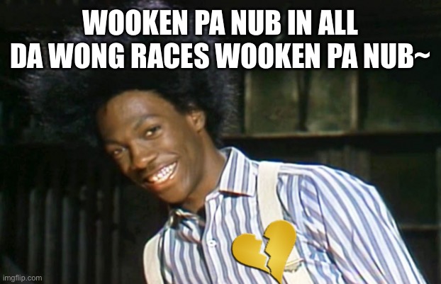 The Racist Singer Sings | WOOKEN PA NUB IN ALL DA WONG RACES WOOKEN PA NUB~ | image tagged in wooken pa nub | made w/ Imgflip meme maker
