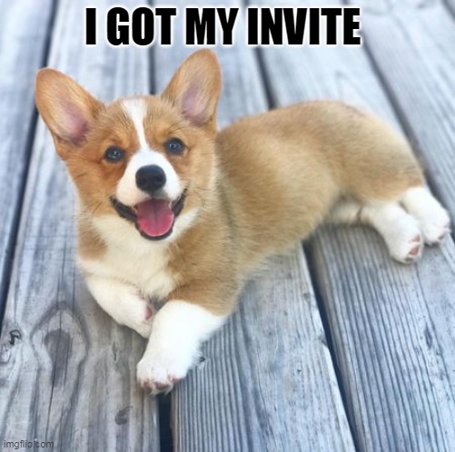 Happy corgi (laying) | I GOT MY INVITE | image tagged in happy corgi laying | made w/ Imgflip meme maker