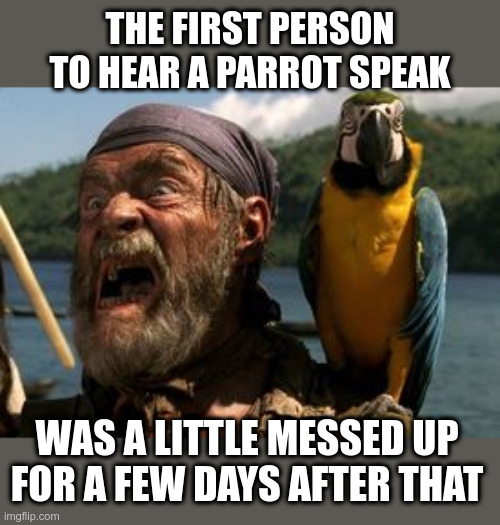 Fun Fact | THE FIRST PERSON TO HEAR A PARROT SPEAK; WAS A LITTLE MESSED UP FOR A FEW DAYS AFTER THAT | image tagged in mr cotton's parrot,fun fact,messed up,the first person to,funny memes | made w/ Imgflip meme maker