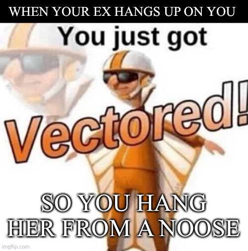 Idk why I came up with this | WHEN YOUR EX HANGS UP ON YOU; SO YOU HANG HER FROM A NOOSE | image tagged in you just got vectored | made w/ Imgflip meme maker
