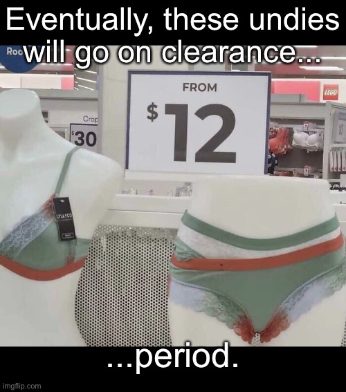 So Wrong. I mean W-R-O-N-G! | Eventually, these undies will go on clearance... ...period. | image tagged in funny memes,period | made w/ Imgflip meme maker