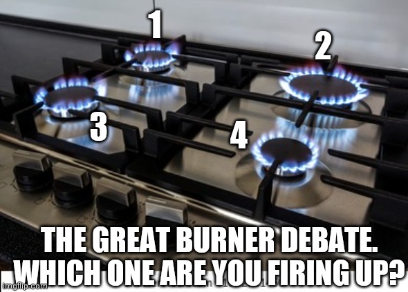 Stovetop burner debate |  1; 2; 3; 4; THE GREAT BURNER DEBATE. WHICH ONE ARE YOU FIRING UP? | image tagged in stovetop,burner,favorite,cooking,kitchen,fire | made w/ Imgflip meme maker