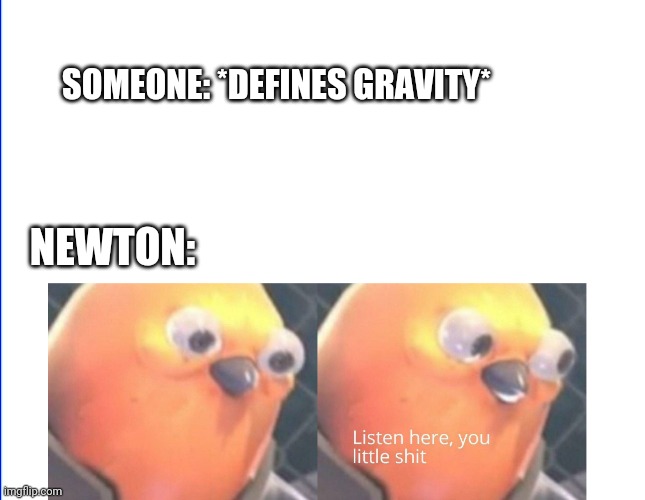 Screw gravity | SOMEONE: *DEFINES GRAVITY*; NEWTON: | image tagged in listen here you little shit | made w/ Imgflip meme maker