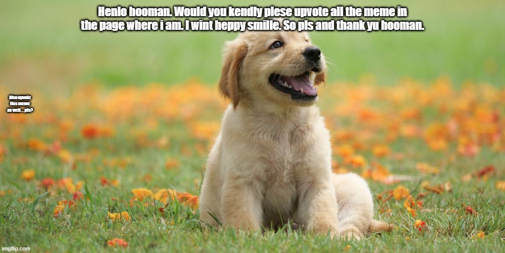 Woof woof | Henlo hooman. Would you kendly plese upvote all the meme in the page where i am. I wint heppy smille. So pls and thank yu hooman. Also upvote this meme as well.... pls? | image tagged in memes,doge,waiting | made w/ Imgflip meme maker