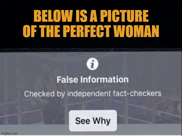 The Perfect Woman | BELOW IS A PICTURE OF THE PERFECT WOMAN | image tagged in the perfect woman,fact checker memes | made w/ Imgflip meme maker