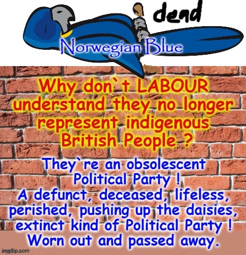 Norwegian Blue | image tagged in corbyn's labour party | made w/ Imgflip meme maker