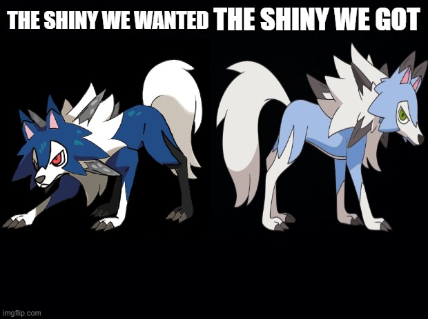Black background | THE SHINY WE GOT THE SHINY WE WANTED | image tagged in black background | made w/ Imgflip meme maker