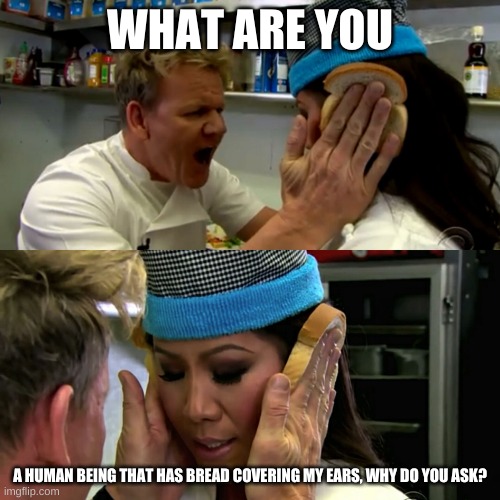 Gordon Ramsay Idiot Sandwich | WHAT ARE YOU; A HUMAN BEING THAT HAS BREAD COVERING MY EARS, WHY DO YOU ASK? | image tagged in gordon ramsay idiot sandwich | made w/ Imgflip meme maker