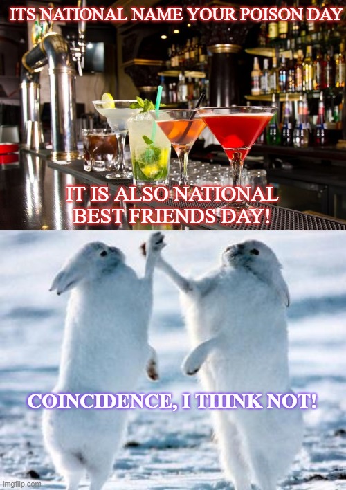 name your poison day | ITS NATIONAL NAME YOUR POISON DAY; IT IS ALSO NATIONAL BEST FRIENDS DAY! COINCIDENCE, I THINK NOT! | image tagged in bar alcohol drinks,best friends | made w/ Imgflip meme maker