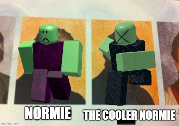 tds meme | NORMIE THE COOLER NORMIE | image tagged in roblox | made w/ Imgflip meme maker