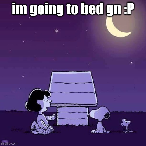 Good night  | im going to bed gn :P | image tagged in good night | made w/ Imgflip meme maker
