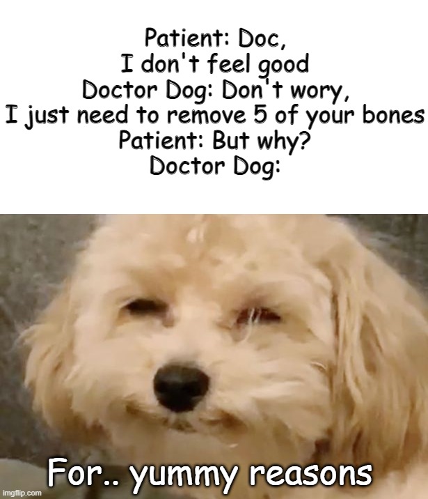Patient: Doc, I don't feel good
Doctor Dog: Don't wory, I just need to remove 5 of your bones
Patient: But why?
Doctor Dog:; For.. yummy reasons | made w/ Imgflip meme maker
