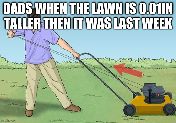 There's nothing there yet they insist on cutting it! |  DADS WHEN THE LAWN IS 0.01IN TALLER THEN IT WAS LAST WEEK | image tagged in fun,funny,memes,dads,lawn | made w/ Imgflip meme maker