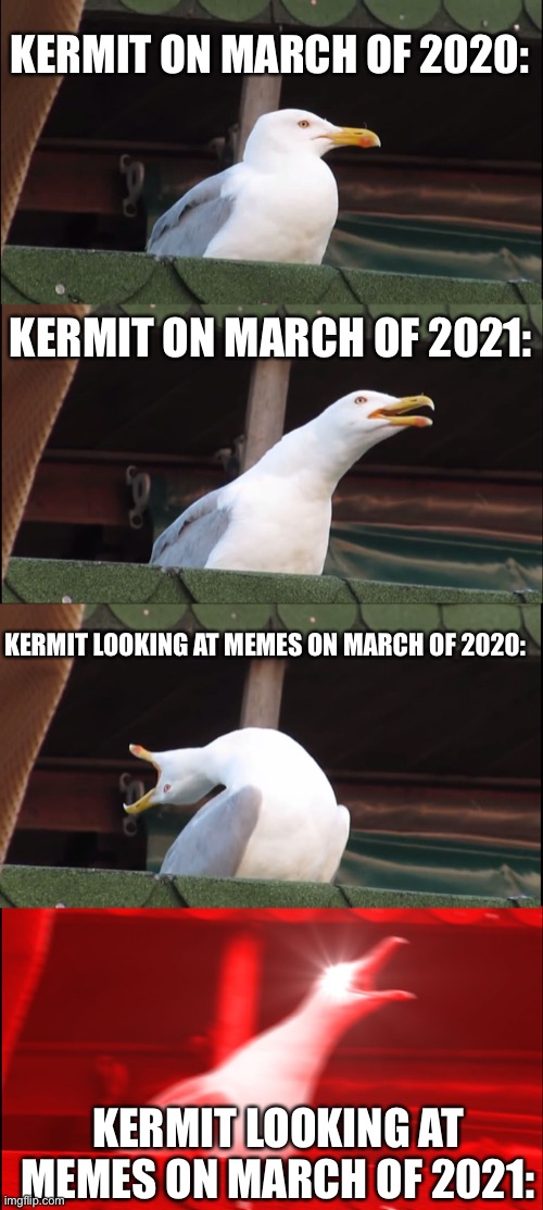 Inhaling Seagull Meme | KERMIT ON MARCH OF 2020: KERMIT ON MARCH OF 2021: KERMIT LOOKING AT MEMES ON MARCH OF 2020: KERMIT LOOKING AT MEMES ON MARCH OF 2021: | image tagged in memes,inhaling seagull | made w/ Imgflip meme maker