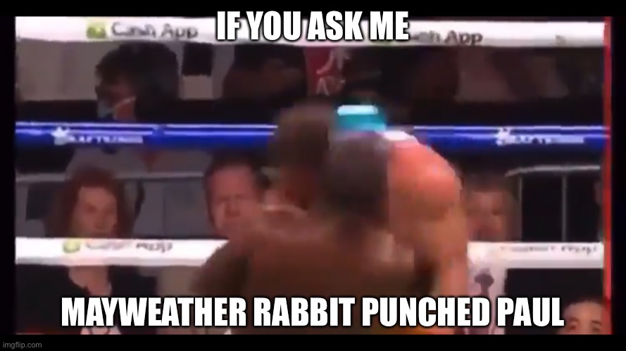 Did Mayweather rabbit punch Drake Paul?Is that why he held him up? | IF YOU ASK ME; MAYWEATHER RABBIT PUNCHED PAUL | image tagged in mayweather,drake paul,boxing,rabbit punch | made w/ Imgflip meme maker
