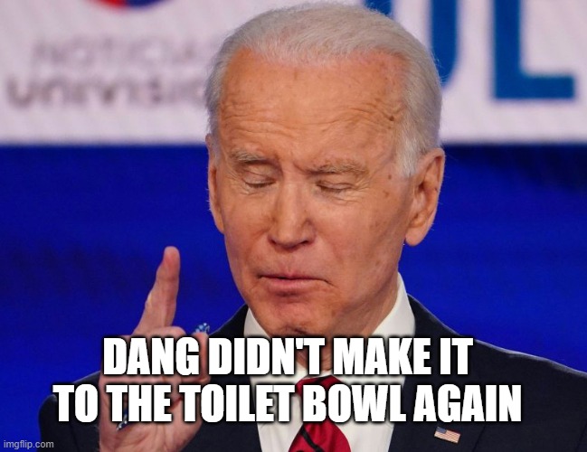 DANG DIDN'T MAKE IT TO THE TOILET BOWL AGAIN | made w/ Imgflip meme maker